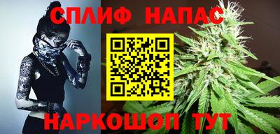 шишки Апшеронск