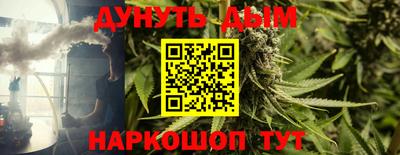 шишки Апшеронск