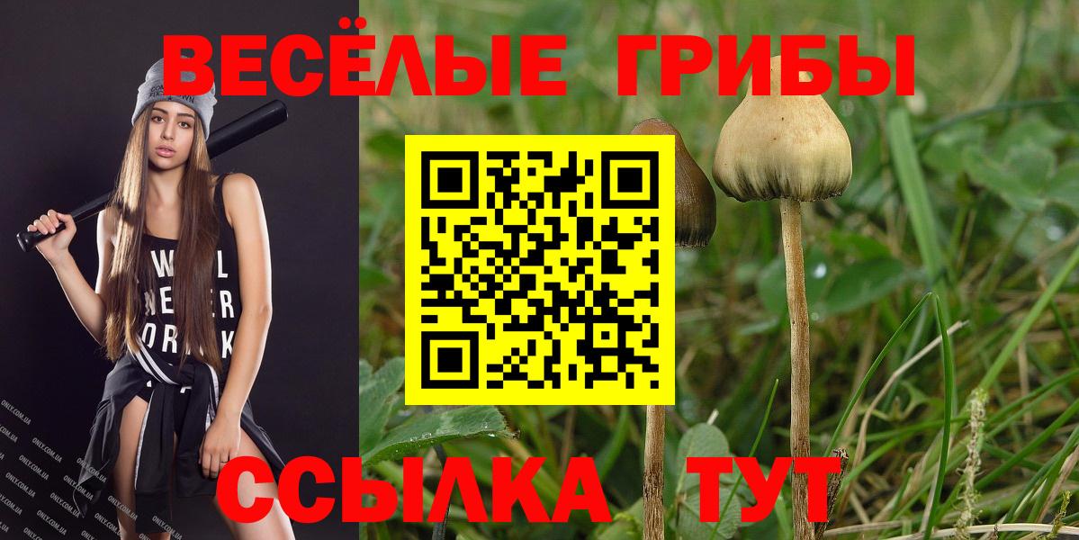 Псилоцибиновые грибы Magic Shrooms  Вход с VPN  Белгород 